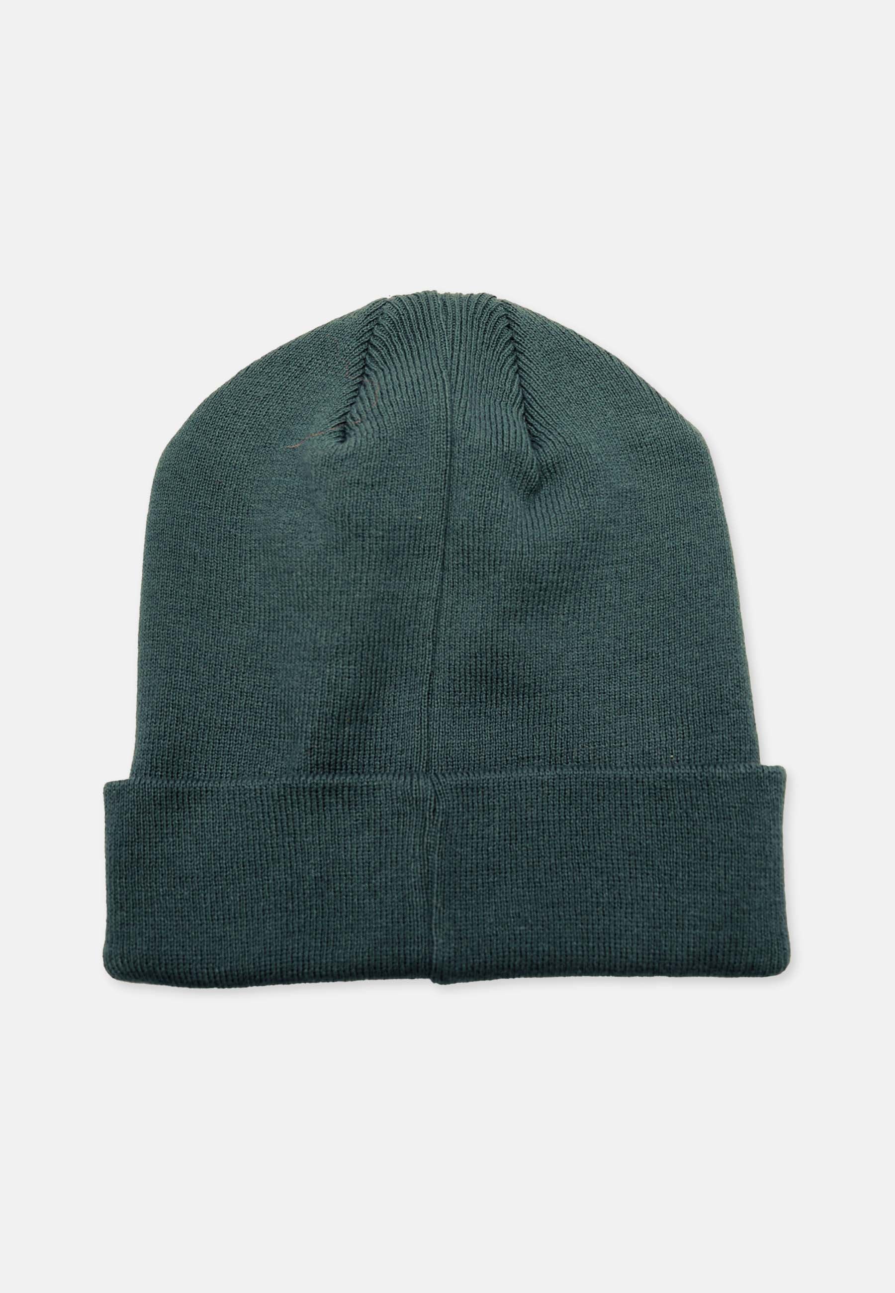Basic Beanie
