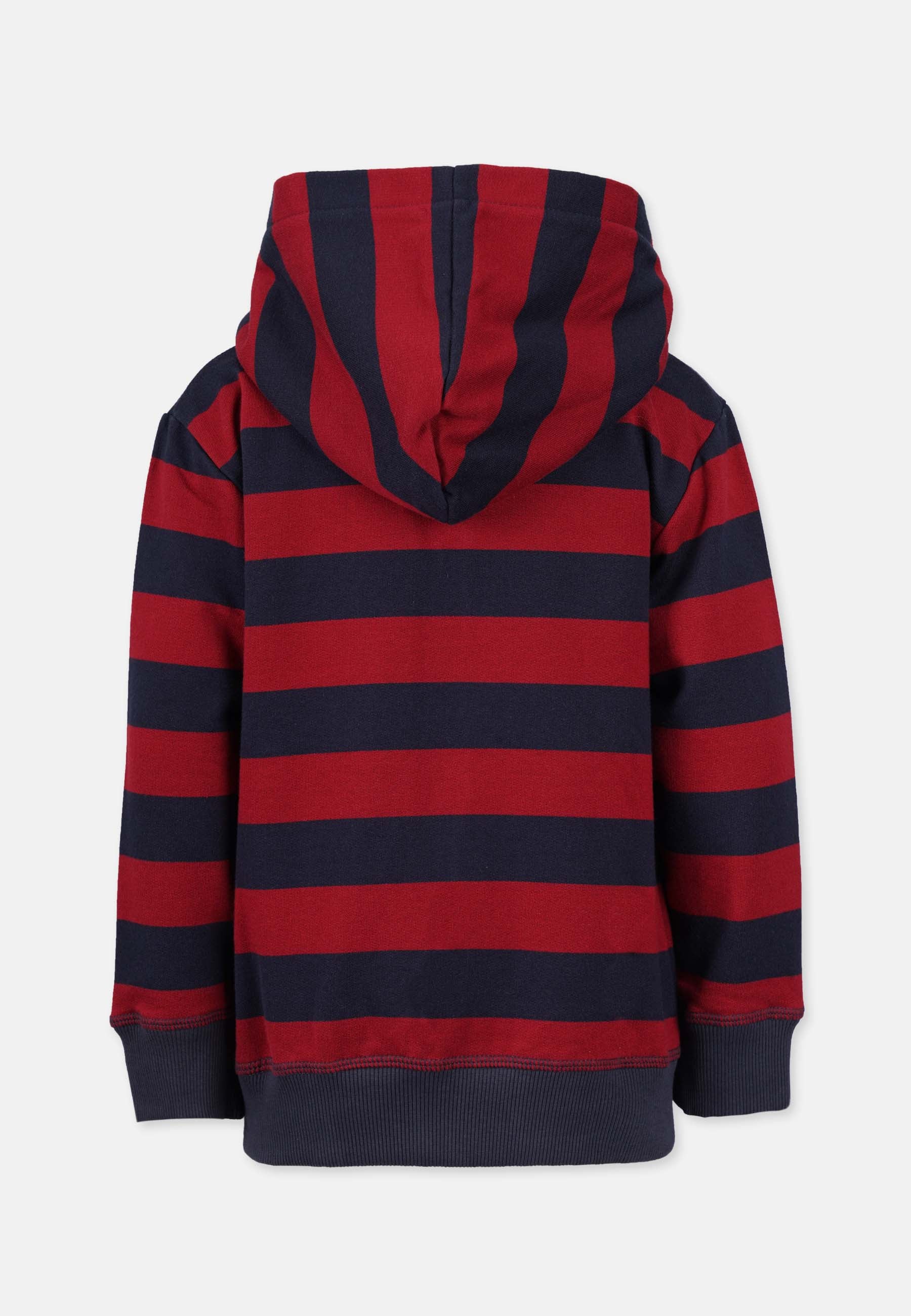 Striped Zip Hooded