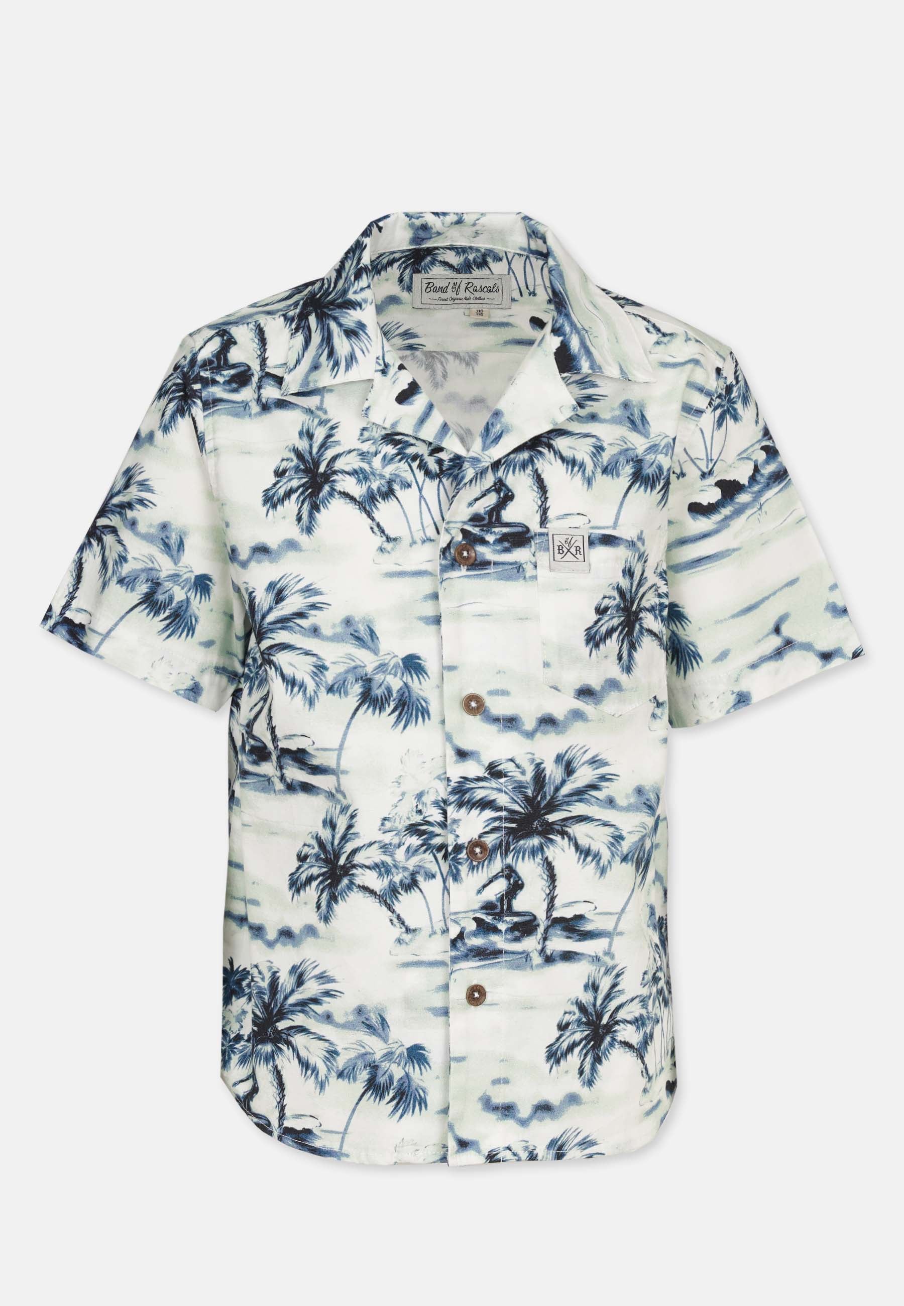 Hawaii Shirt