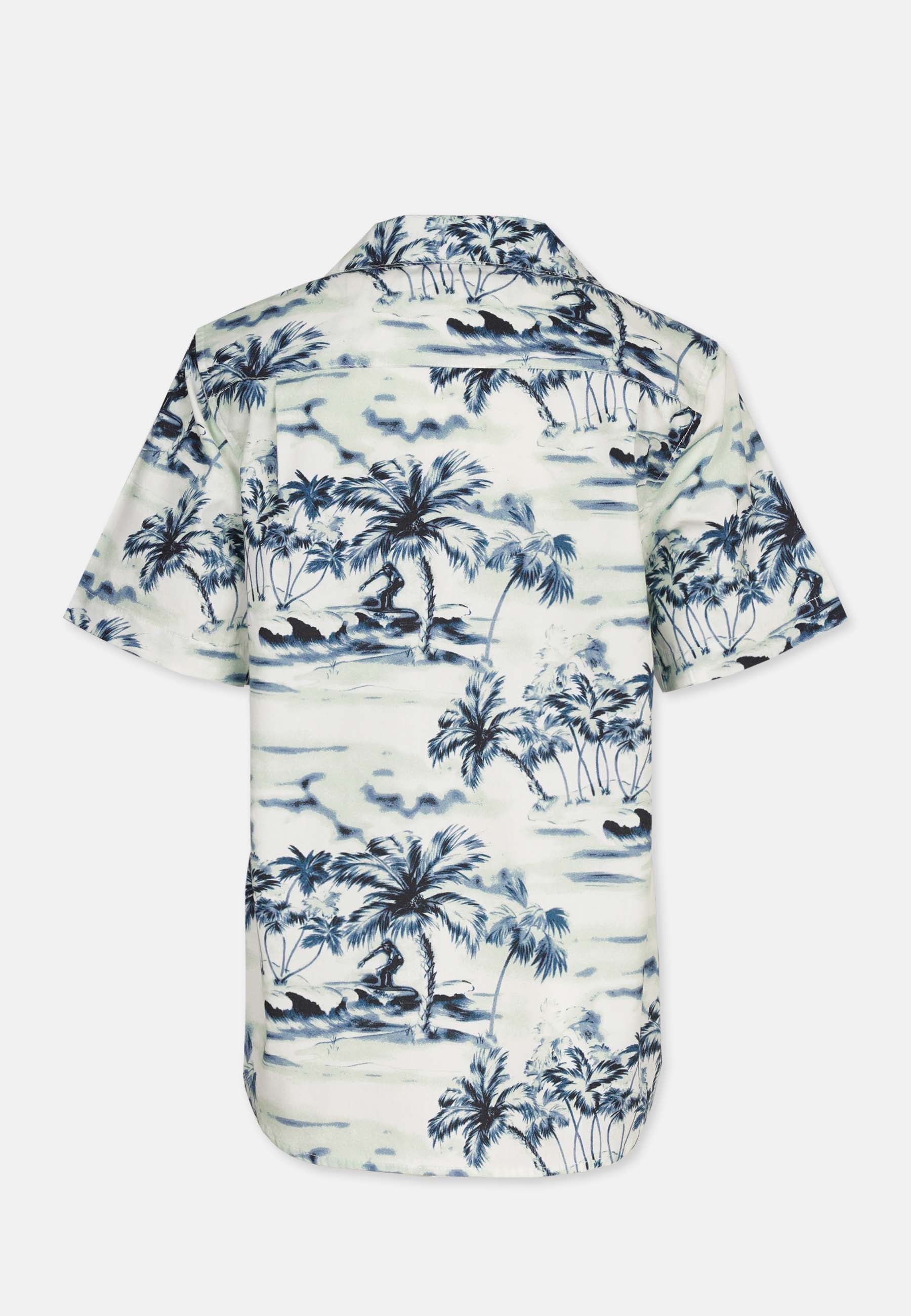 Hawaii Shirt