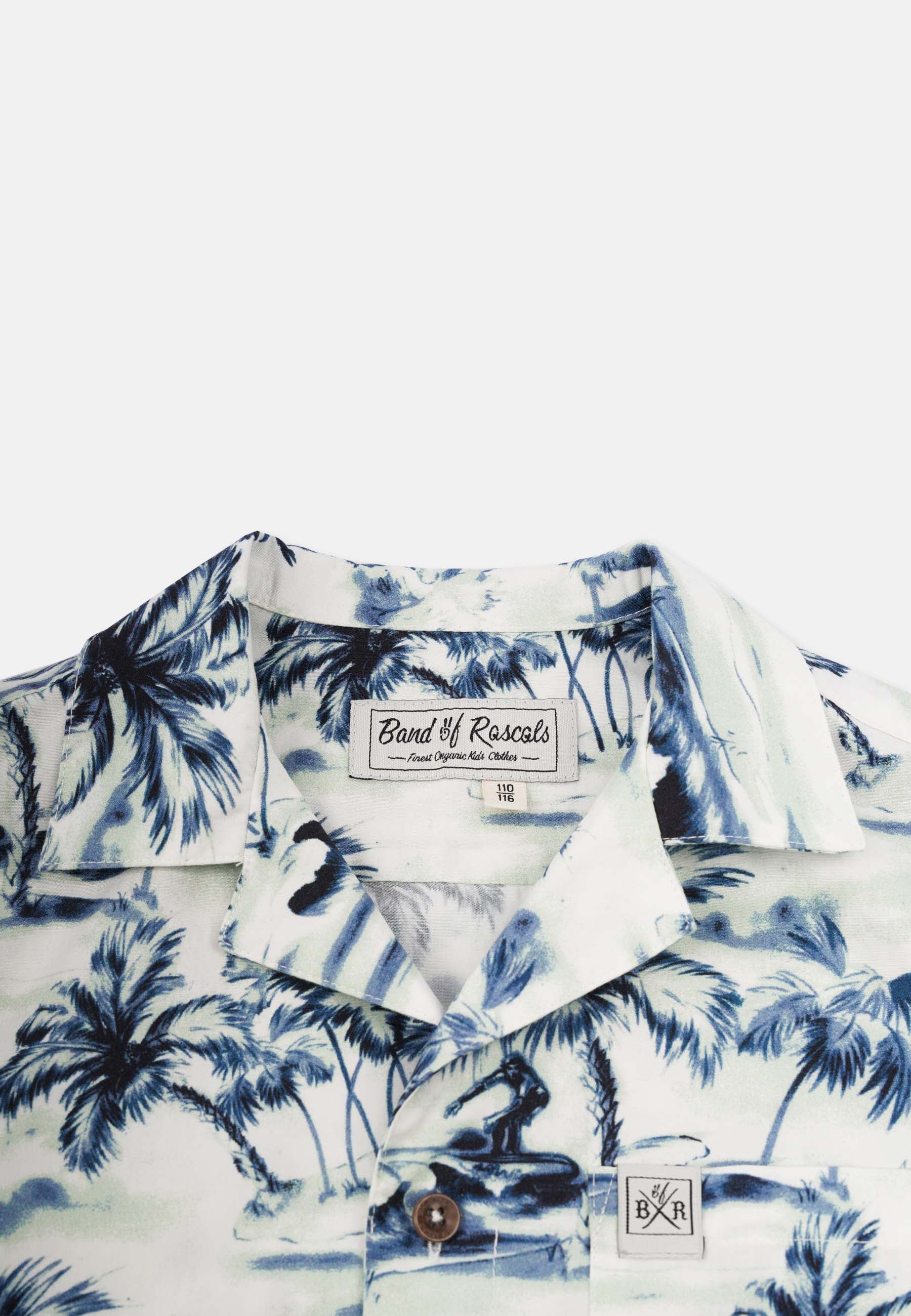 Hawaii Shirt