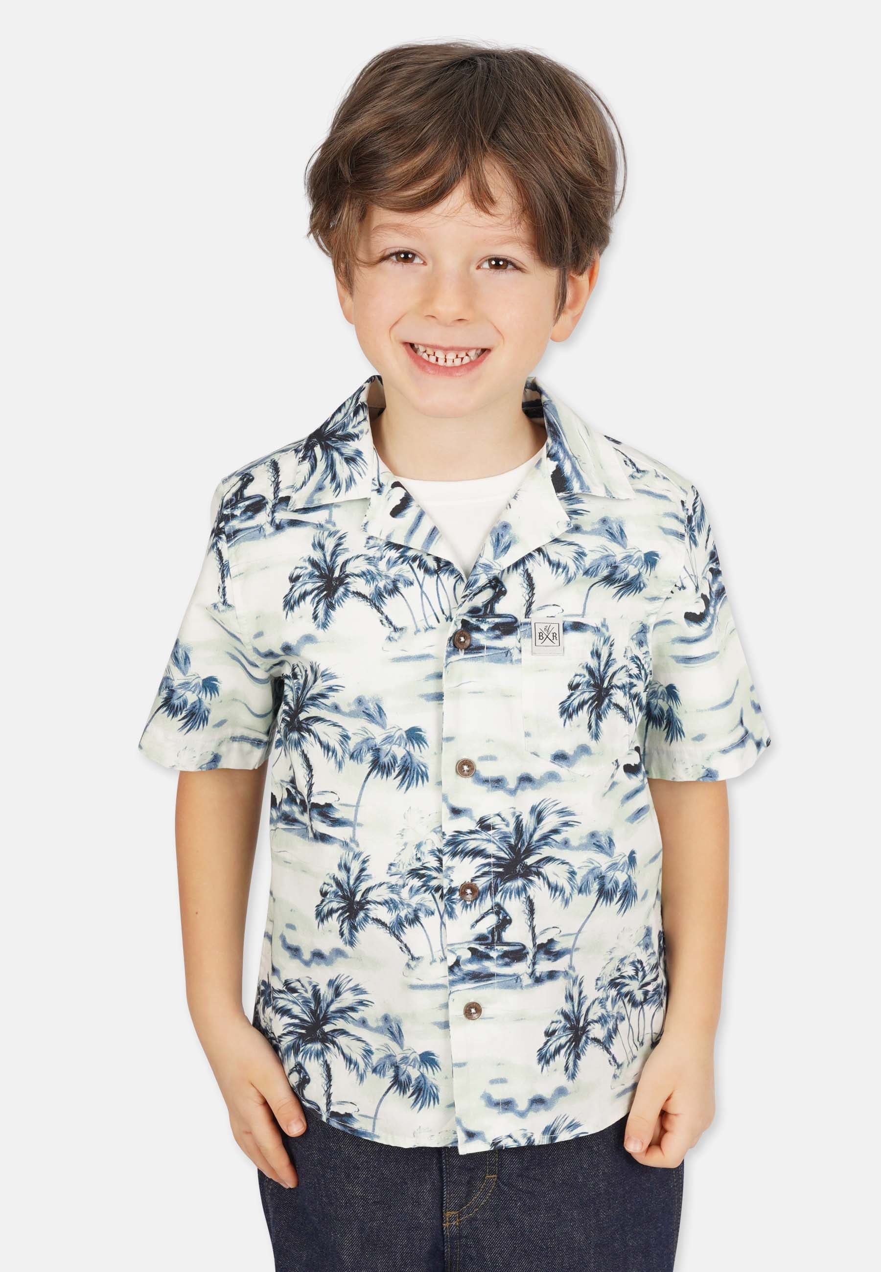 Hawaii Shirt